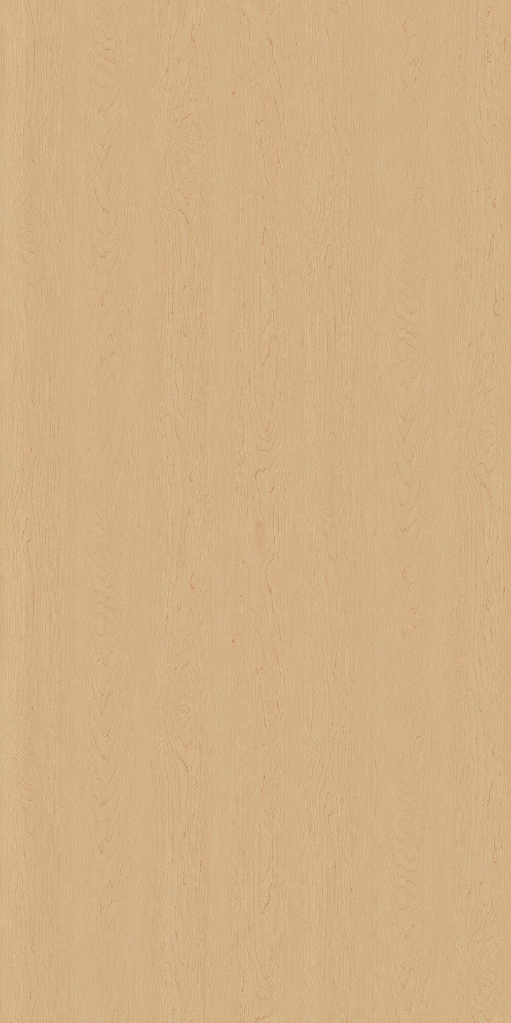 Savoy Typical 101 - Wholesale Office Furniture