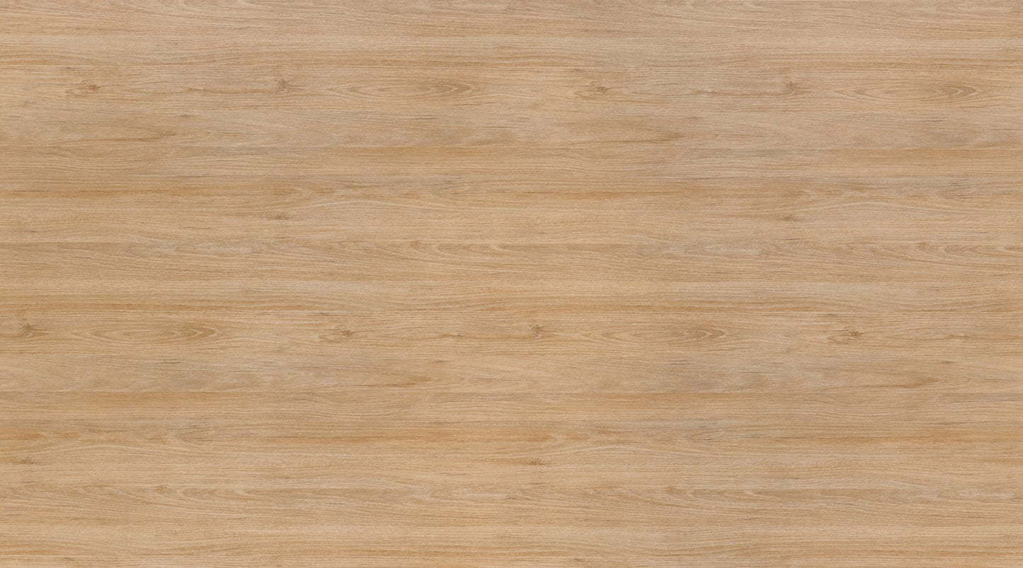 Concept 400e Executive Desk by GroupeLacasse (QS-Plan-05) - Wholesale Office Furniture