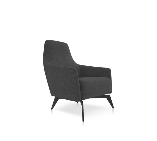 Anza Lounge Chair by Friant - Wholesale Office Furniture